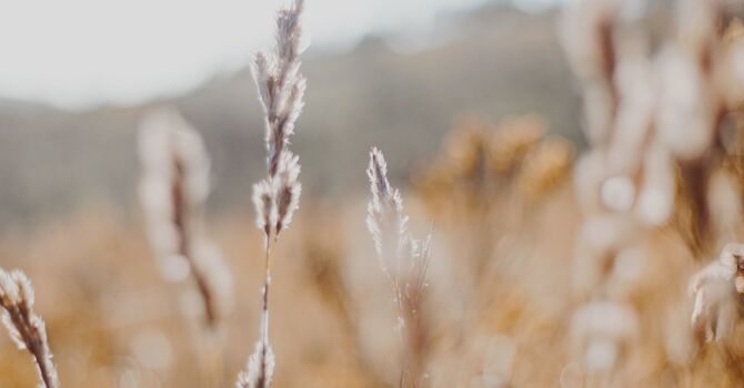 Microneedling for Acne Scars: How This Treatment Transforms Your Skin