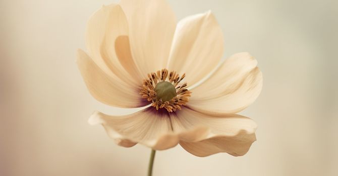 Microneedling for Acne Scars: How This Treatment Transforms Your Skin