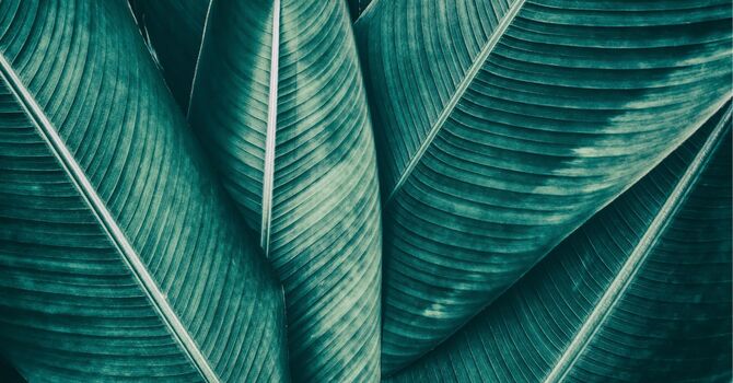 Microneedling for Acne Scars: How This Treatment Transforms Your Skin