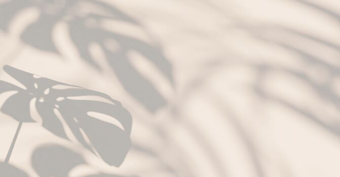 Microneedling for Acne Scars: How This Treatment Transforms Your Skin image